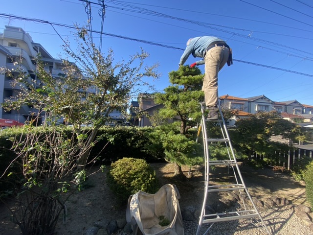 大家さん 常滑市外構、半田市外構、庭、ドライガーデン