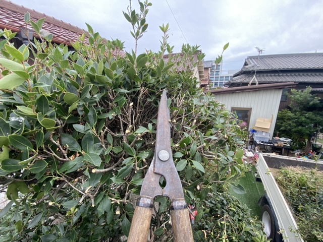 大鋏 半田市外構、常滑市外構 庭 ドライガーデン