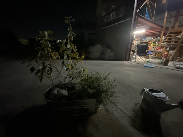 CARPENTER SUNDAY JAM 常滑市外構、庭づくり 半田市外構、庭づくり