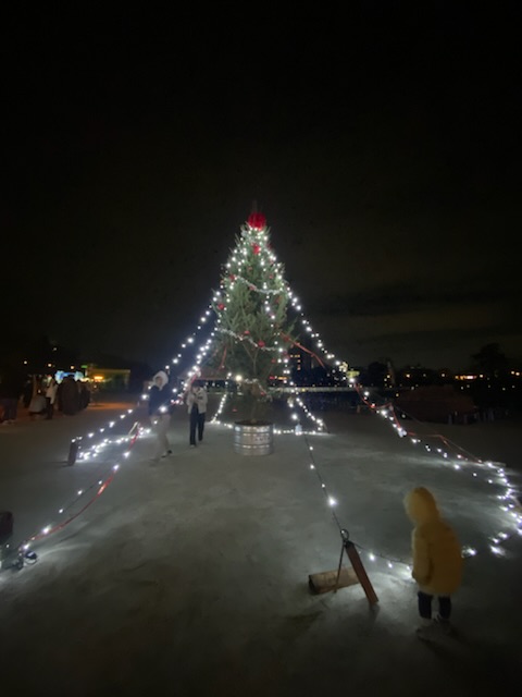 ソウルフードジャム 常滑市外構、庭づくり 半田市外構、庭づくり オージープランツ