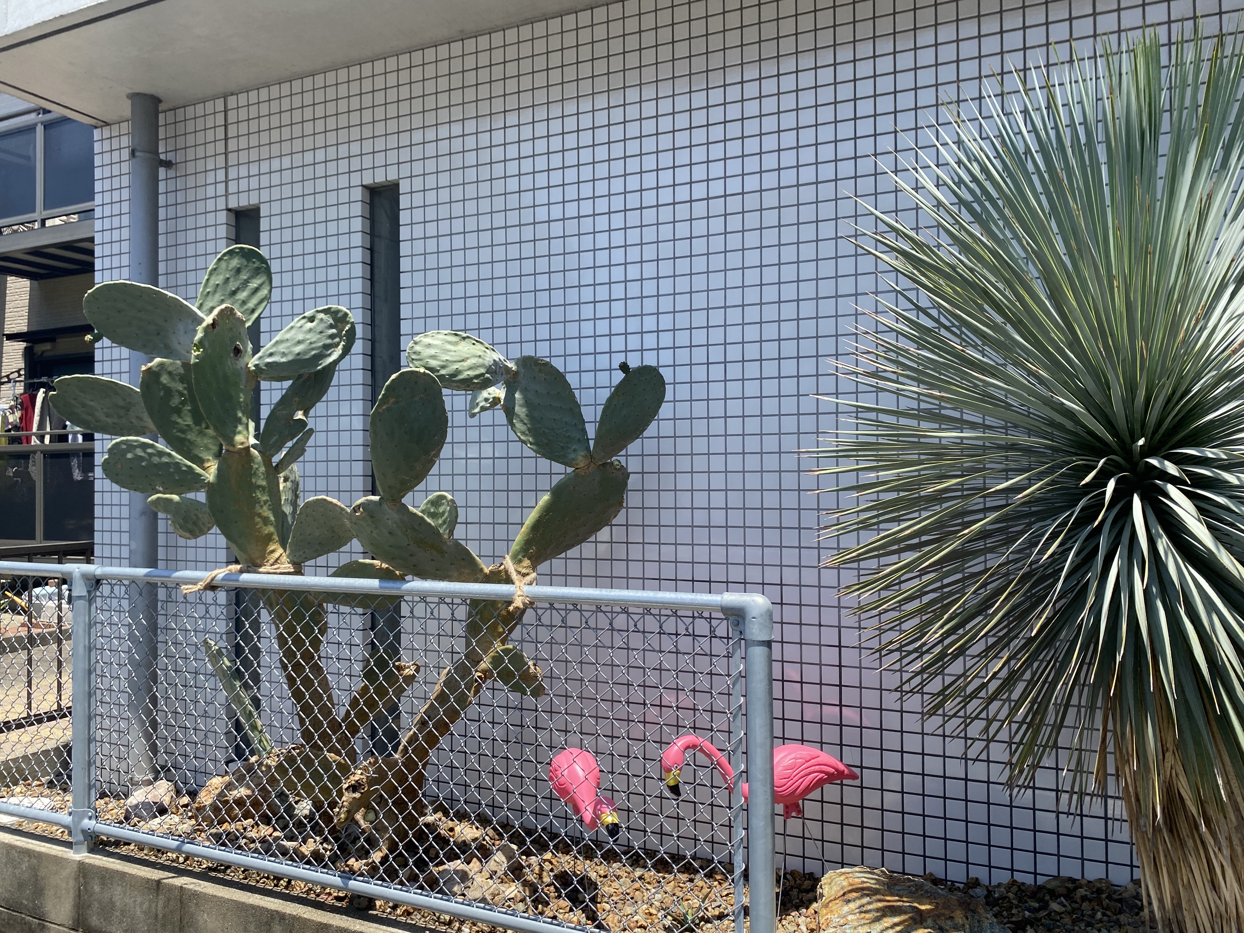 ドライガーデン 大府