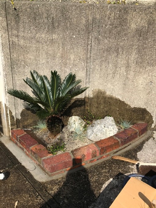 常滑市坂井T様邸 ドライガーデン