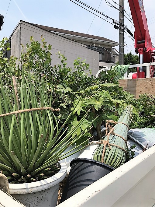 カリフォルニア工務店サーファーズハウス